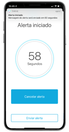 img-app-thrive-tela-alerta-queda.png